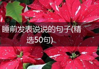 睡前发表说说的句子(精选50句)