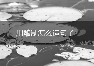 用酿制怎么造句子