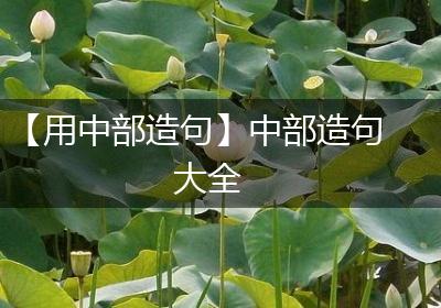 【用中部造句】中部造句大全