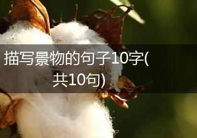 描写景物的句子10字(共10句)
