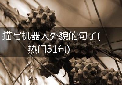 描写机器人外貌的句子(热门51句)