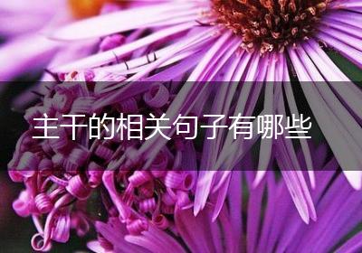 主干的相关句子有哪些