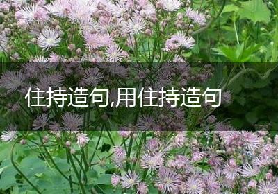 住持造句,用住持造句