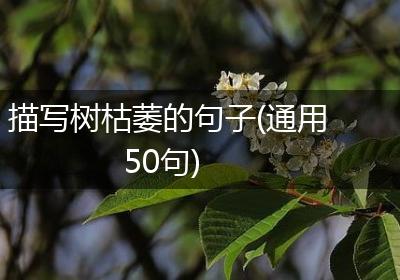描写树枯萎的句子(通用50句)