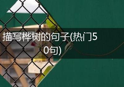 描写桦树的句子(热门50句)