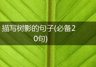 描写树影的句子(必备20句)