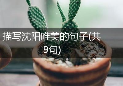 描写沈阳唯美的句子(共9句)