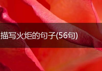 描写火炬的句子(56句)