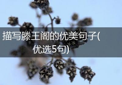 描写滕王阁的优美句子(优选5句)