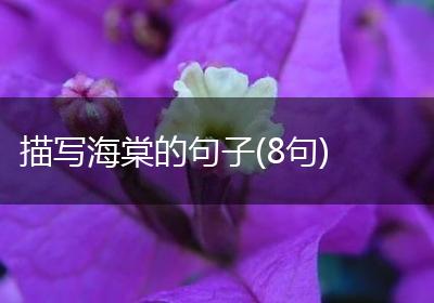 描写海棠的句子(8句)