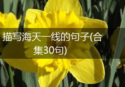 描写海天一线的句子(合集30句)