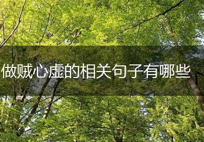 做贼心虚的相关句子有哪些