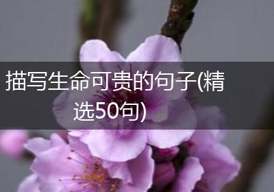 描写生命可贵的句子(精选50句)