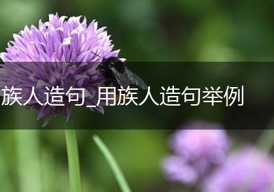 族人造句_用族人造句举例