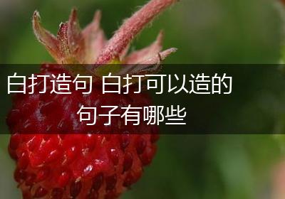 白打造句 白打可以造的句子有哪些