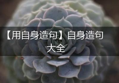 【用自身造句】自身造句大全