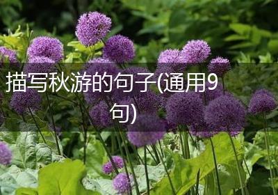 描写秋游的句子(通用9句)
