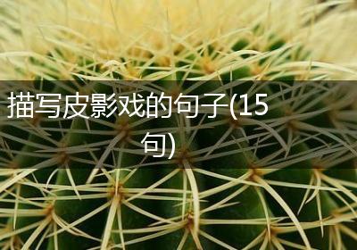 描写皮影戏的句子(15句)