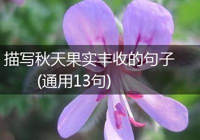 描写秋天果实丰收的句子(通用13句)