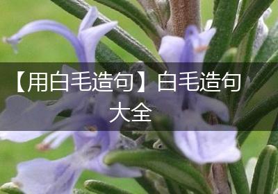 【用白毛造句】白毛造句大全