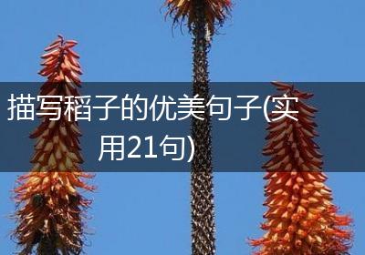 描写稻子的优美句子(实用21句)