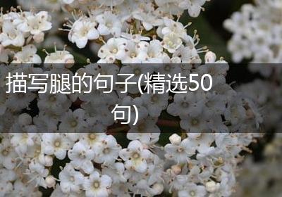 描写腿的句子(精选50句)