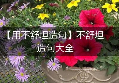 【用不舒坦造句】不舒坦造句大全
