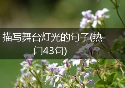 描写舞台灯光的句子(热门43句)