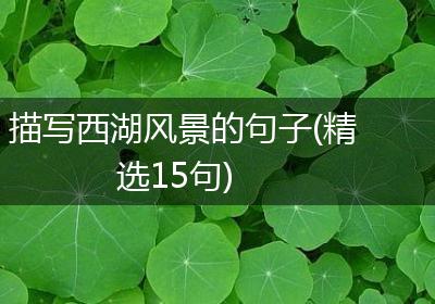 描写西湖风景的句子(精选15句)