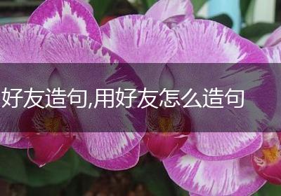 好友造句,用好友怎么造句