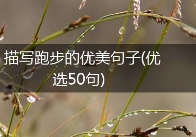 描写跑步的优美句子(优选50句)