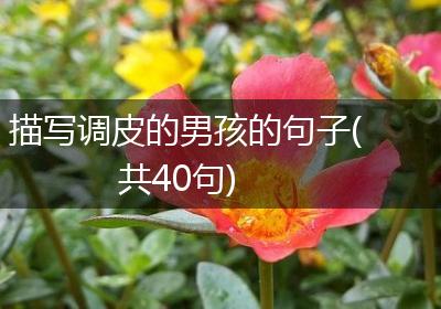 描写调皮的男孩的句子(共40句)