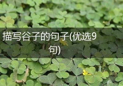 描写谷子的句子(优选9句)