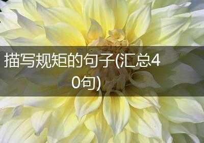 描写规矩的句子(汇总40句)