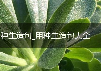 种生造句_用种生造句大全