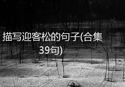 描写迎客松的句子(合集39句)