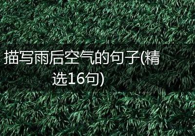 描写雨后空气的句子(精选16句)