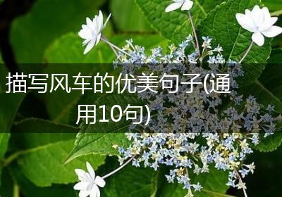 描写风车的优美句子(通用10句)