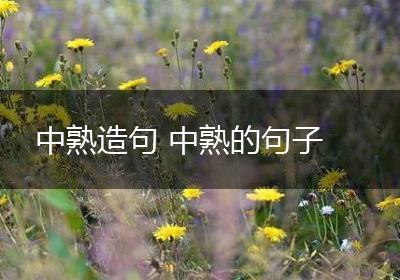 中熟造句 中熟的句子