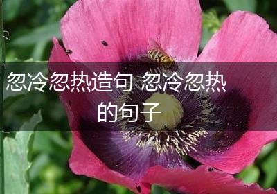 忽冷忽热造句 忽冷忽热的句子