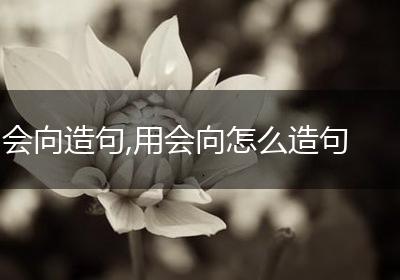 会向造句,用会向怎么造句
