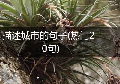 描述城市的句子(热门20句)