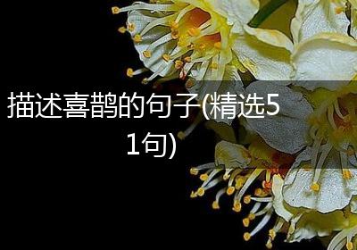 描述喜鹊的句子(精选51句)