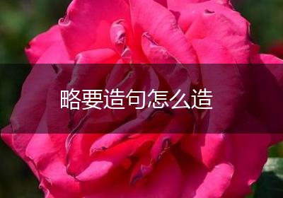 略要造句怎么造
