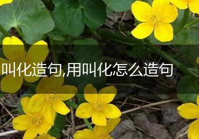 叫化造句,用叫化怎么造句