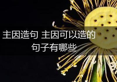 主因造句 主因可以造的句子有哪些