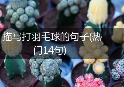 描写打羽毛球的句子(热门14句)