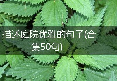 描述庭院优雅的句子(合集50句)
