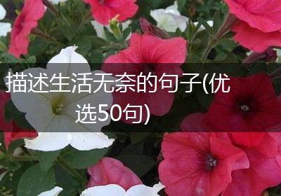 描述生活无奈的句子(优选50句)