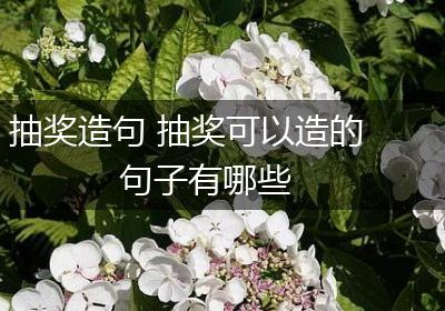 抽奖造句 抽奖可以造的句子有哪些
